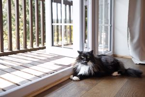 Photo 31- click for photo gallery